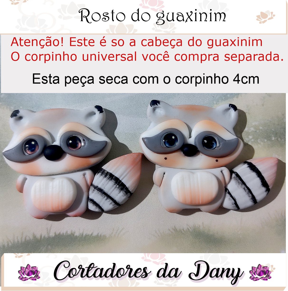 Rosto o guaxinim