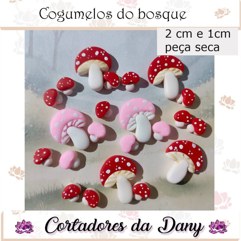 Cogumelos do bosque
